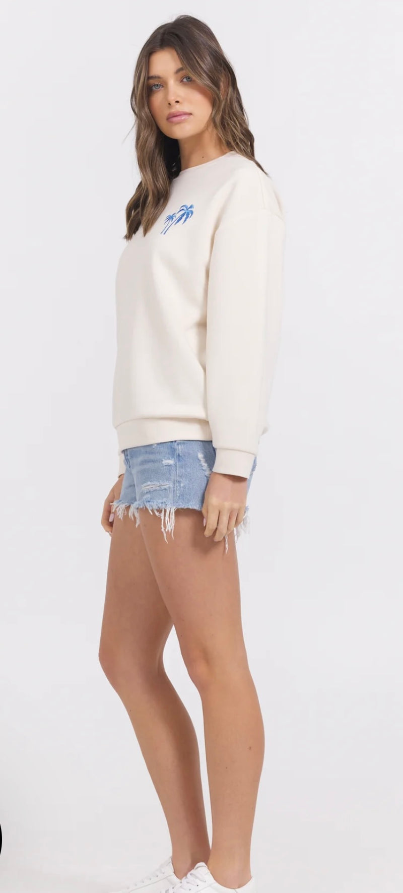 Vitage Havana Coconut Hightide Blue Surf Wash Embroidered Crewneck Top