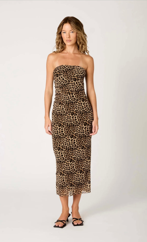 NIA The Brand Tan Rowa Strapless Mesh Overlay BodyCon Stretchy Midi Dress