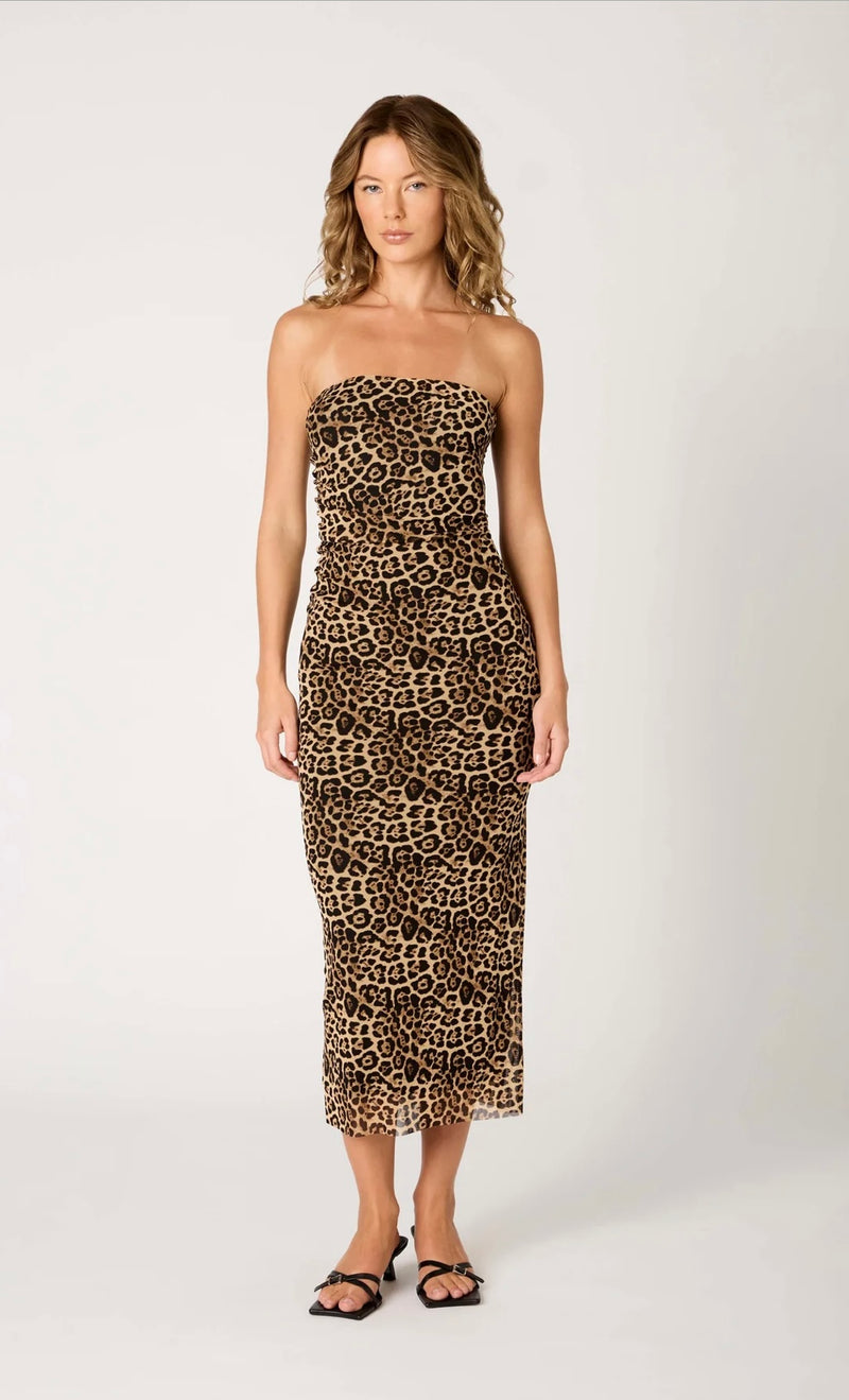 NIA The Brand Tan Rowa Strapless Mesh Overlay BodyCon Stretchy Midi Dress