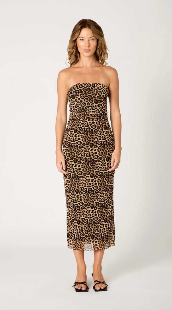 NIA The Brand Tan Rowa Strapless Mesh Overlay BodyCon Stretchy Midi Dress