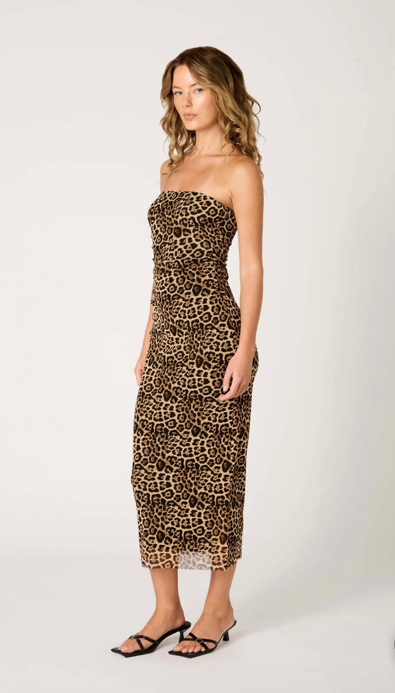 NIA The Brand Tan Rowa Strapless Mesh Overlay BodyCon Stretchy Midi Dress