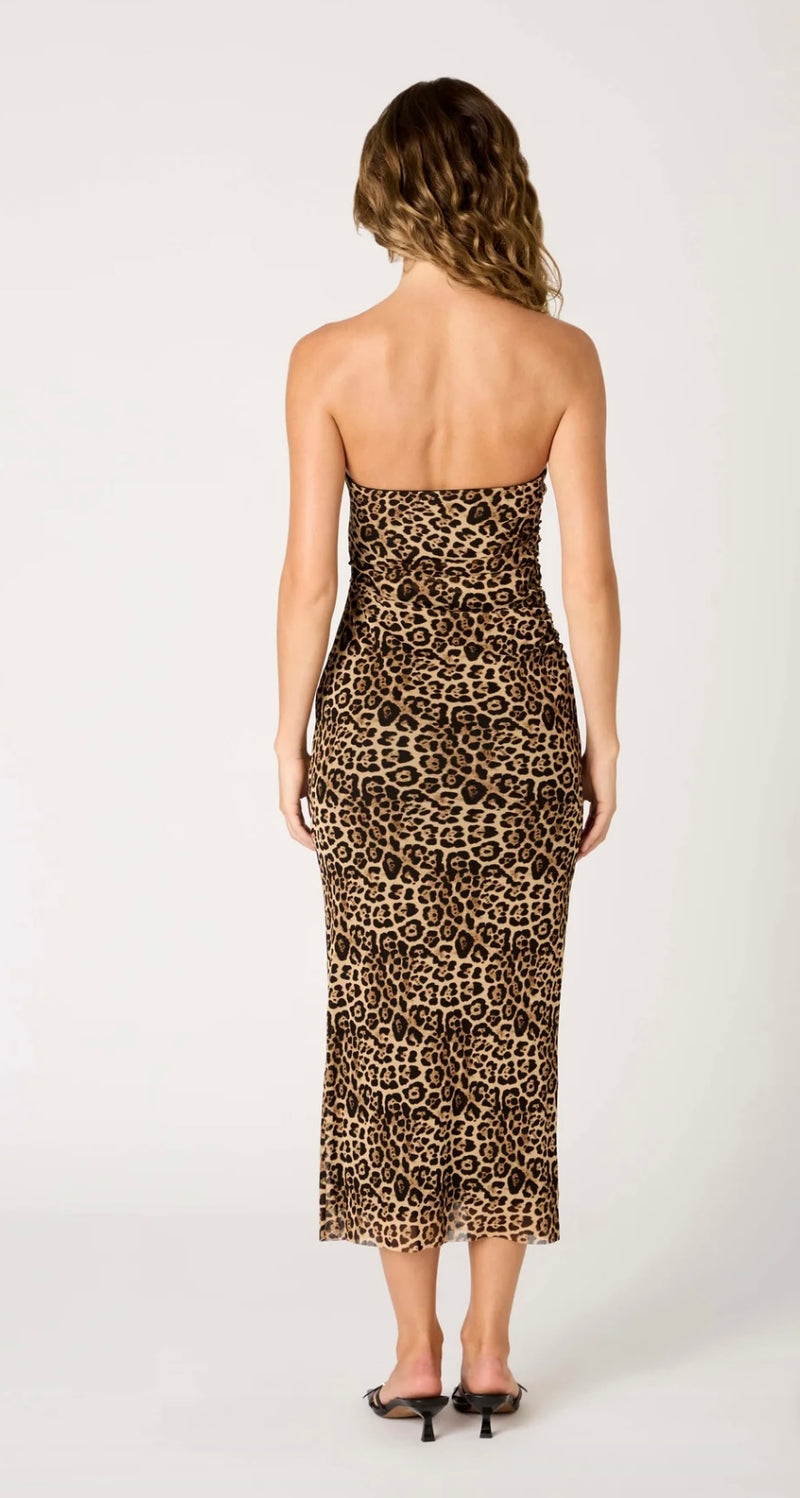 NIA The Brand Tan Rowa Strapless Mesh Overlay BodyCon Stretchy Midi Dress