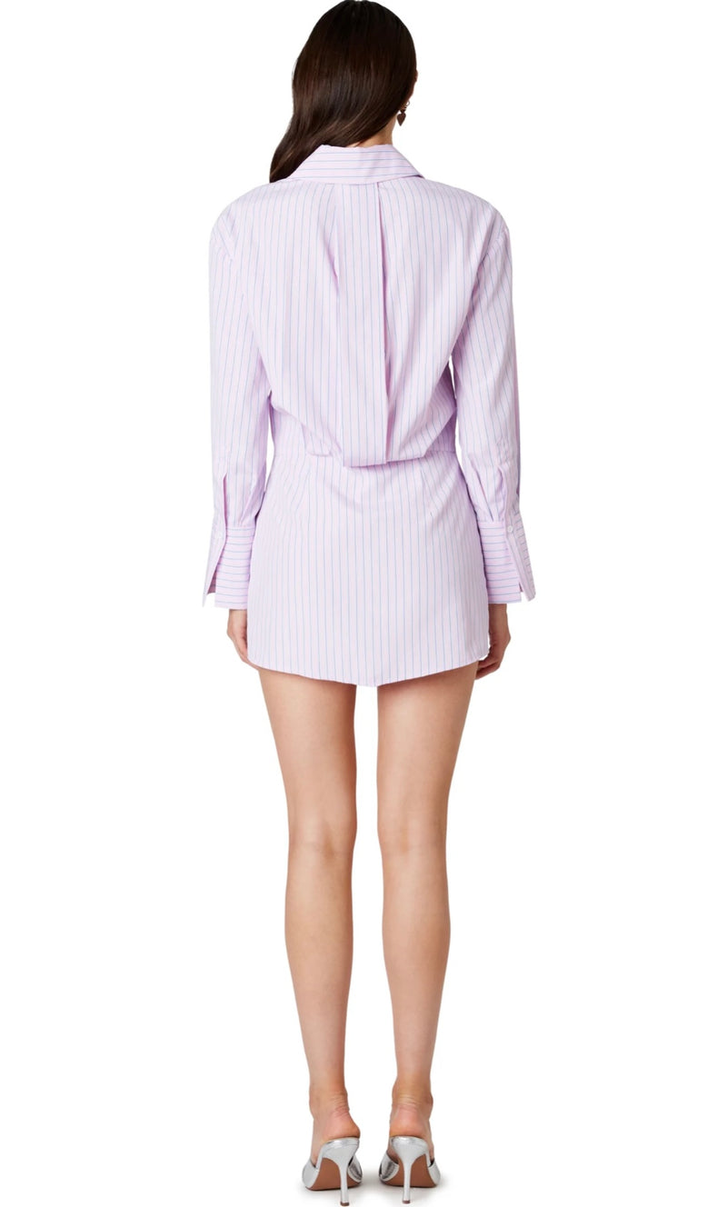 NIA Pink Oxford Button Up Boxy Shirt Mini Spring Dress