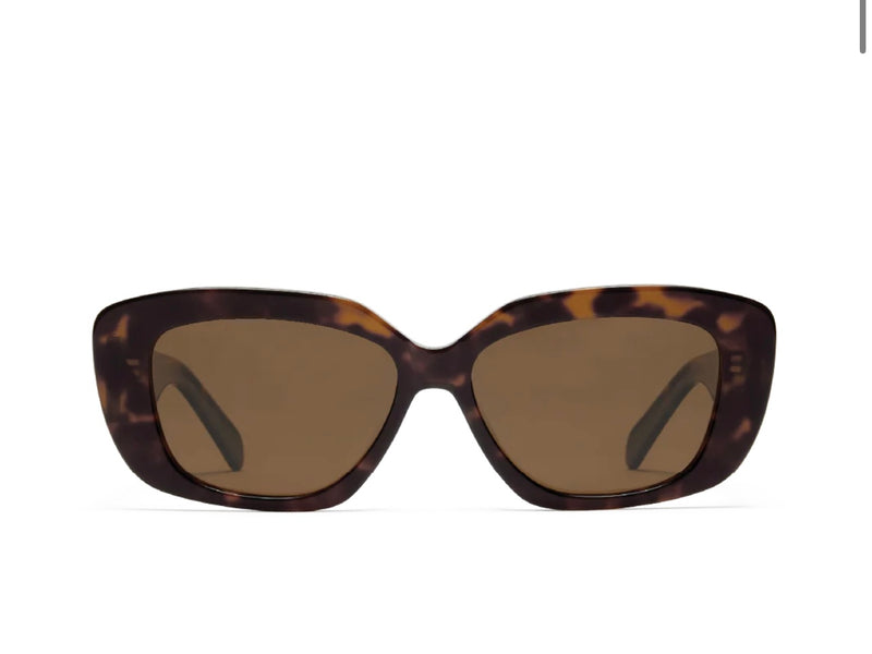 BILLINI The Illiana Havana Frames with Chocolate Lenses Polarized Sunglasses