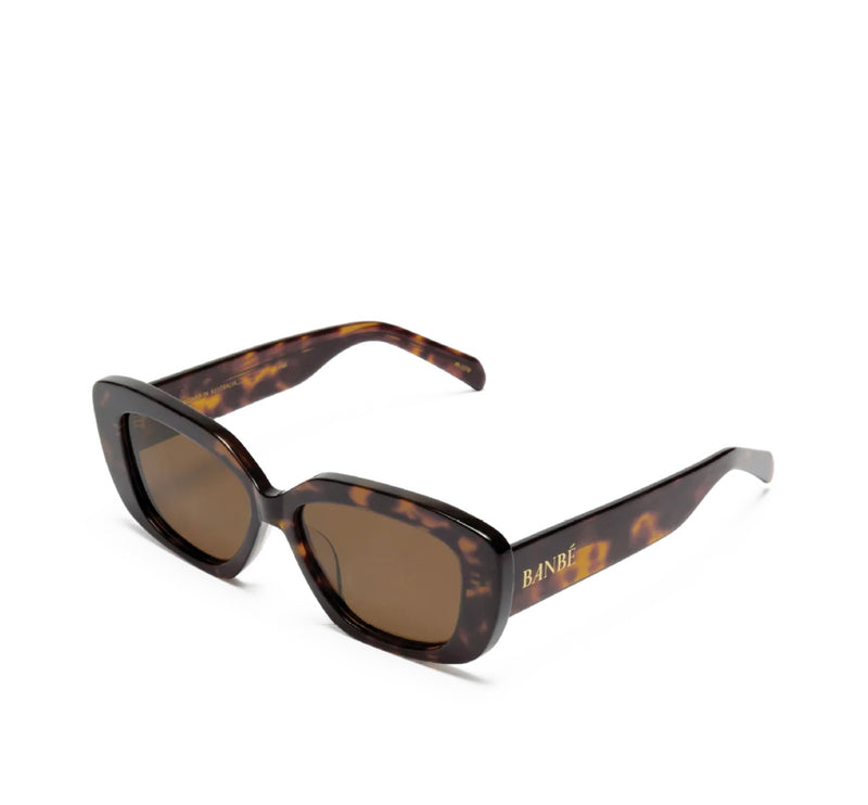 BILLINI The Illiana Havana Frames with Chocolate Lenses Polarized Sunglasses