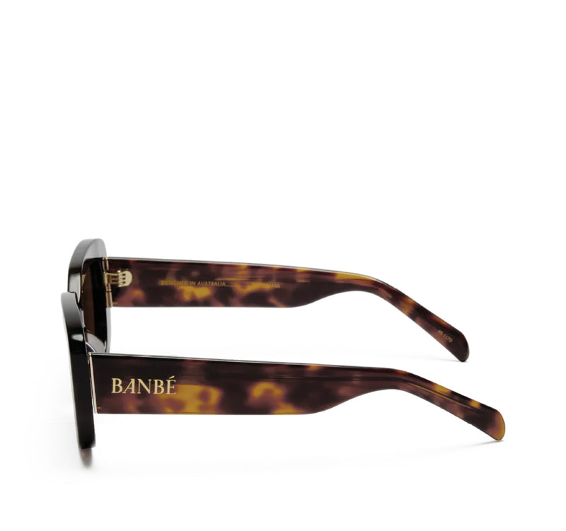 BILLINI The Illiana Havana Frames with Chocolate Lenses Polarized Sunglasses